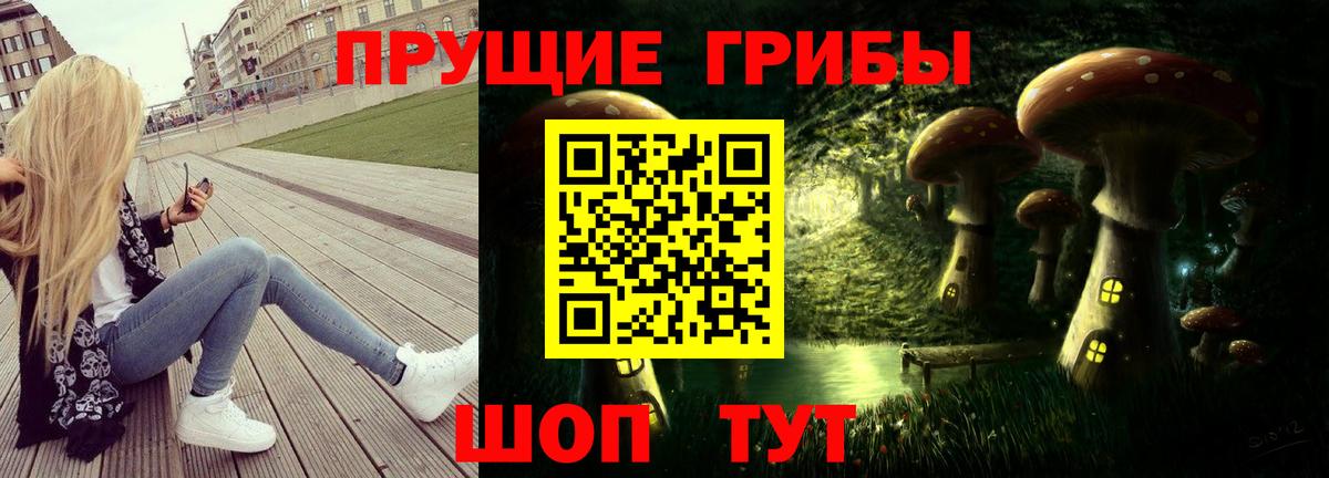 Ефремов  Галлюциногенные грибы MAGIC MUSHROOMS  Вход с VPN 