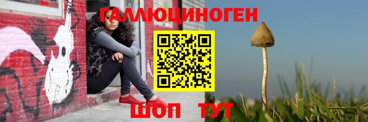Псилоцибиновые грибы Magic Shrooms Ефремов